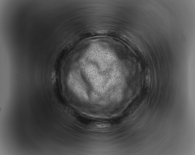 X0000092040555200710031026