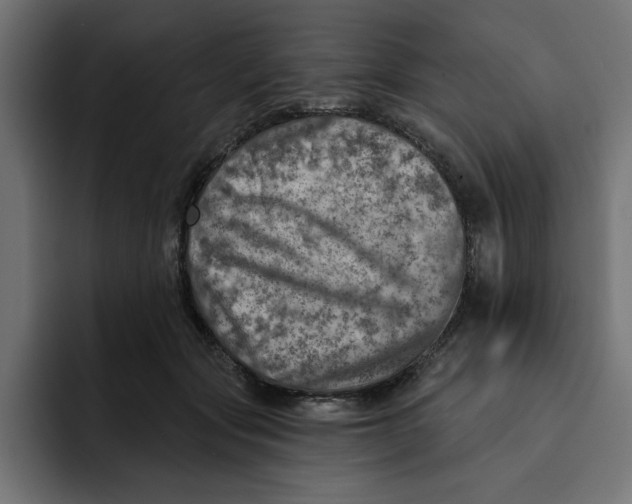 X0000092040557200710031026