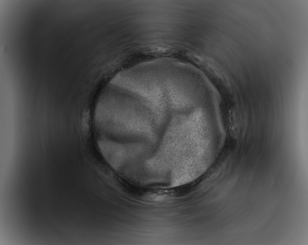 X0000092040563200710031026