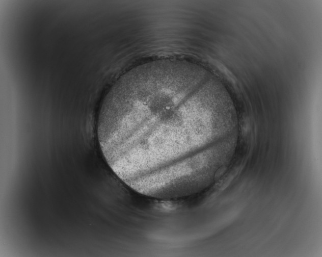 X0000092040565200710031026