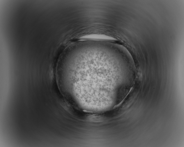 X0000092040568200710031027