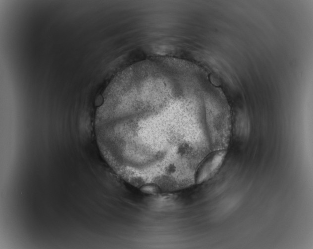 X0000092040569200710031027