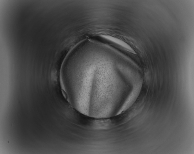 X0000092040571200710031027