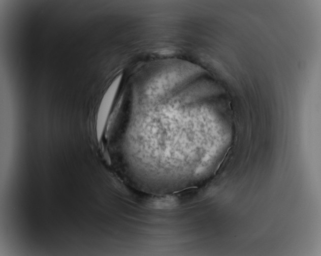 X0000092040576200710031027