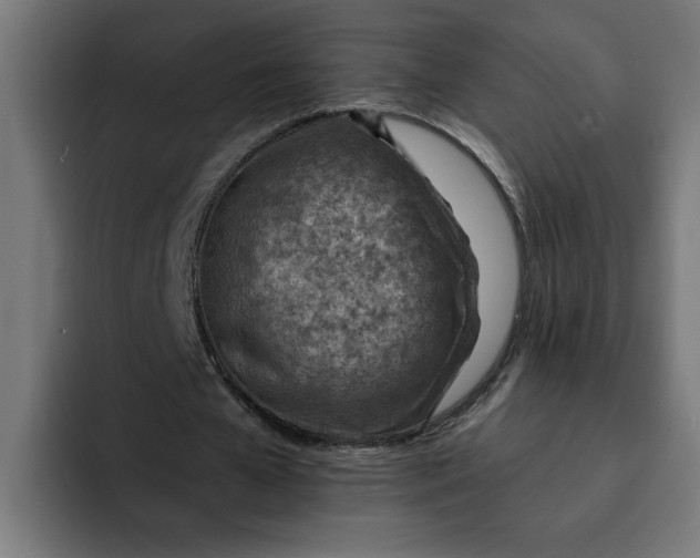 X0000092040577200710031026