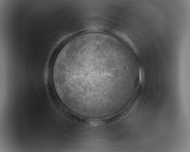 X0000092040579200710031026