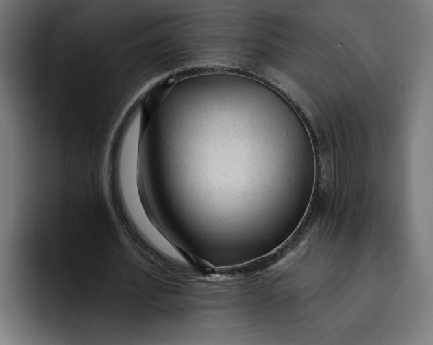 X0000092040580200710031026