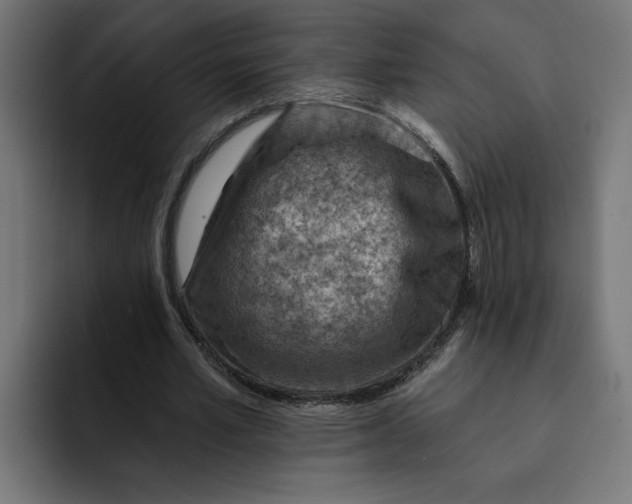 X0000092040581200710031026