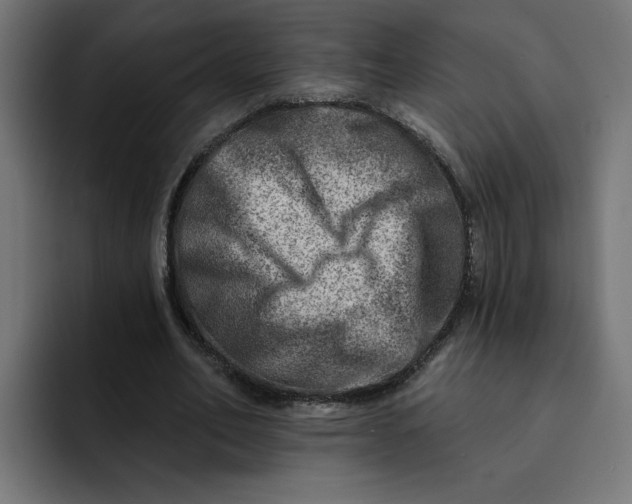 X0000092040582200710031026