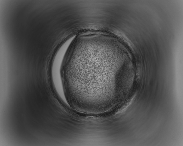 X0000092040585200710031026