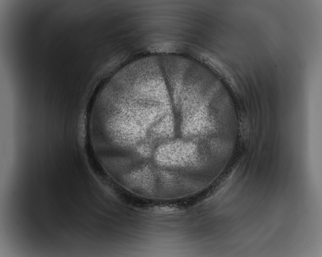 X0000092040586200710031026