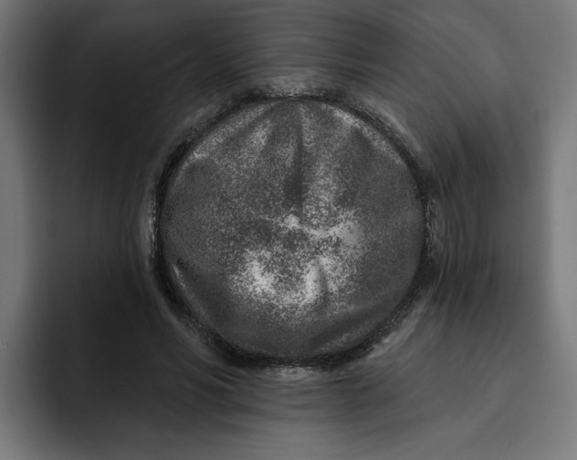 X0000092040590200710031026