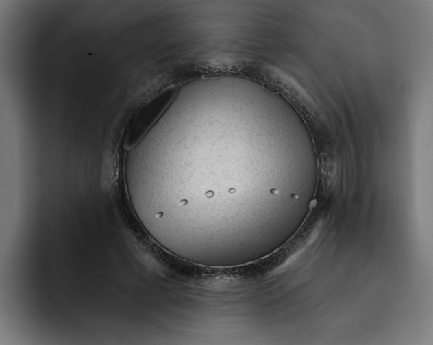 X0000092040593200710031026