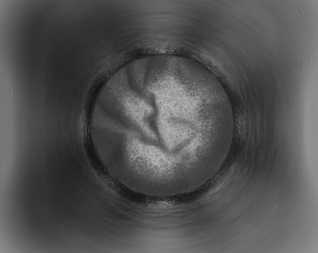 X0000092040594200710031026