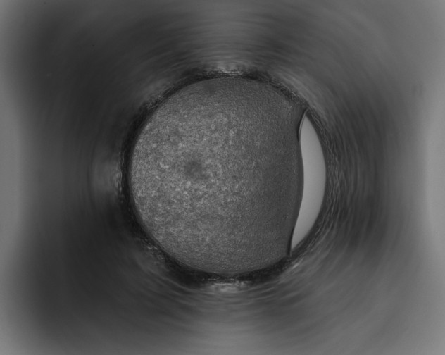 X0000092040595200710031026