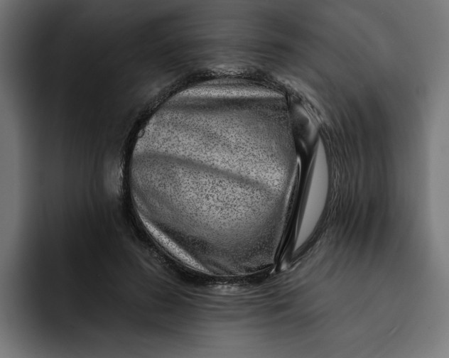 X0000092040596200710031026