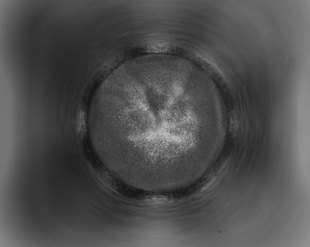 X0000092040598200710031026