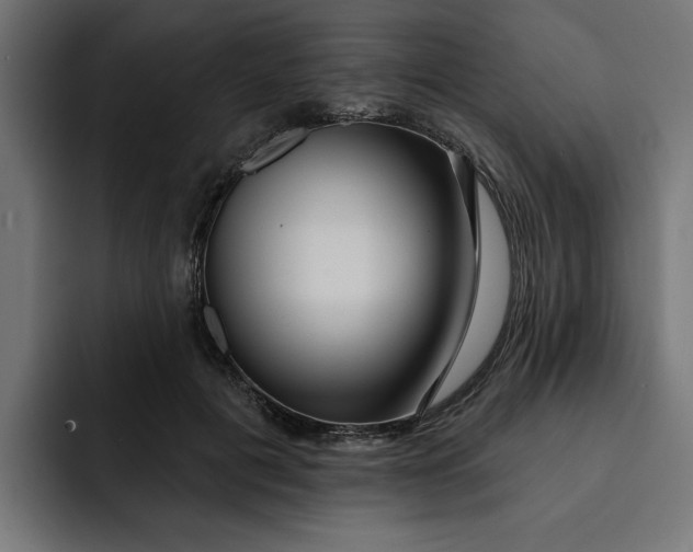 X0000092040601200710031026