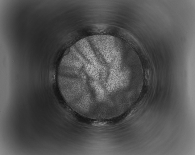 X0000092040602200710031026