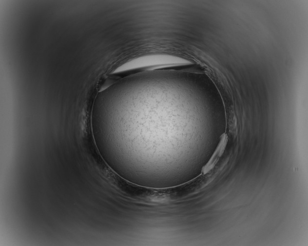 X0000092040604200710031026