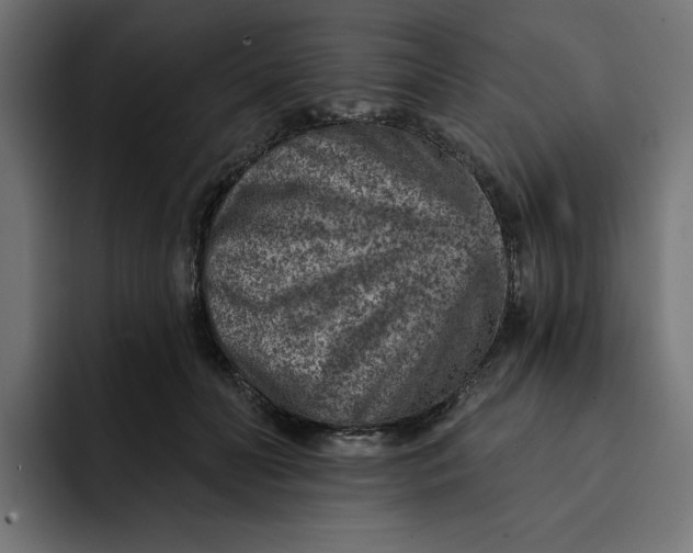 X0000092040606200710031026