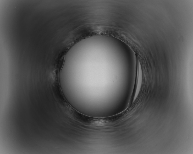 X0000092040611200710031026