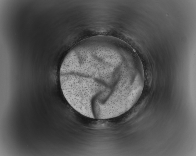 X0000092040612200710031026