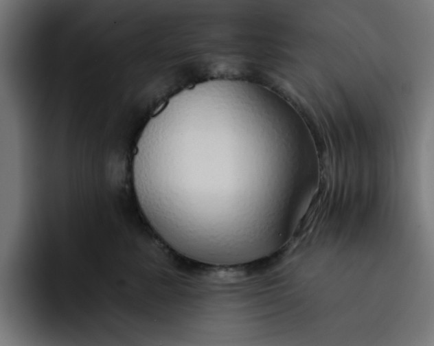 X0000092040619200710031026