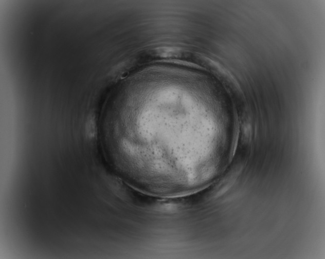 X0000092040620200710031026