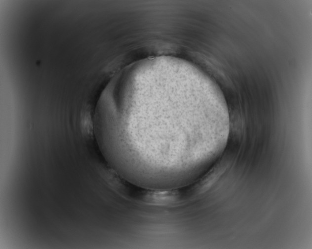 X0000092040622200710031026