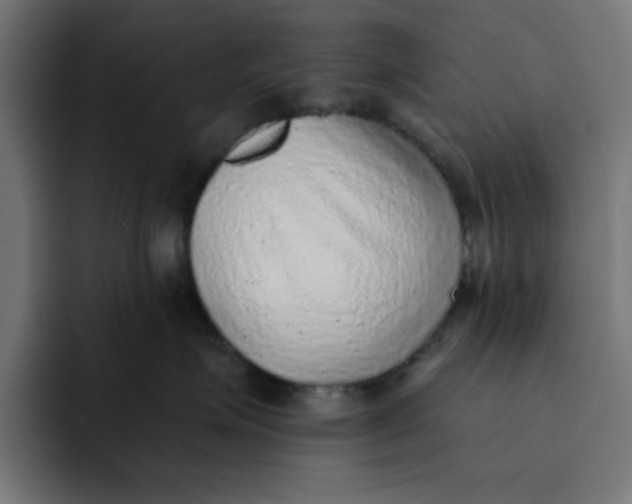 X0000092040623200710031026