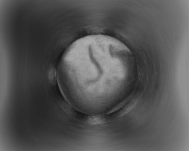 X0000092040624200710031026