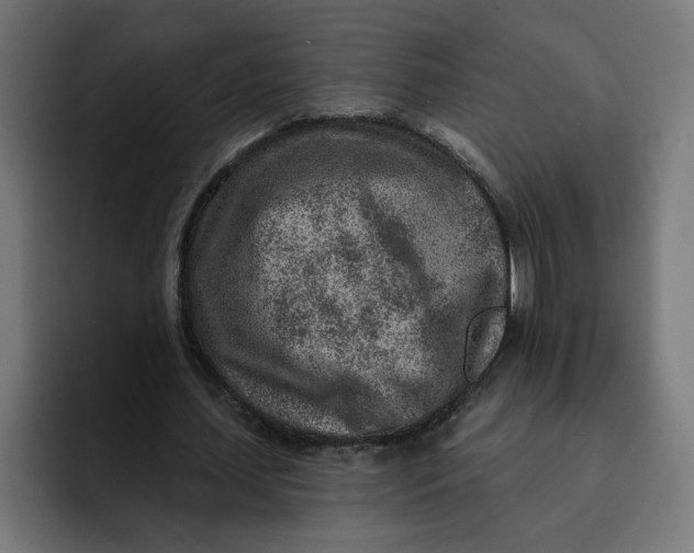 X0000092040627200710031025