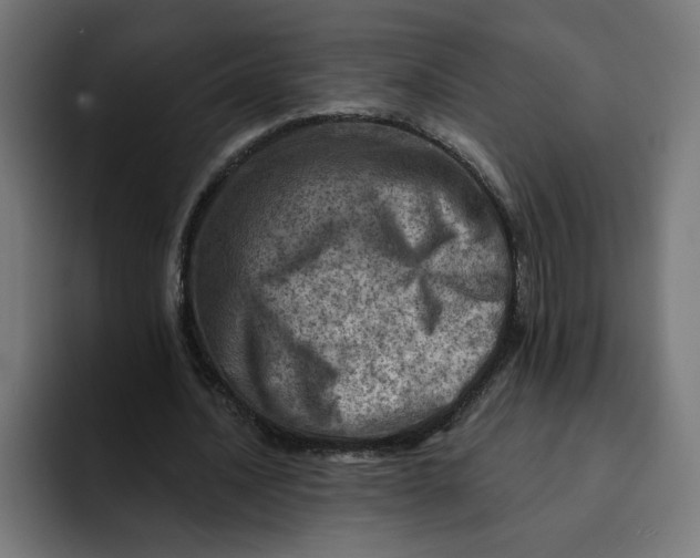 X0000092040628200710031025