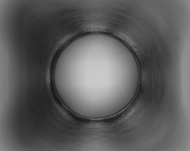 X0000092040629200710031025