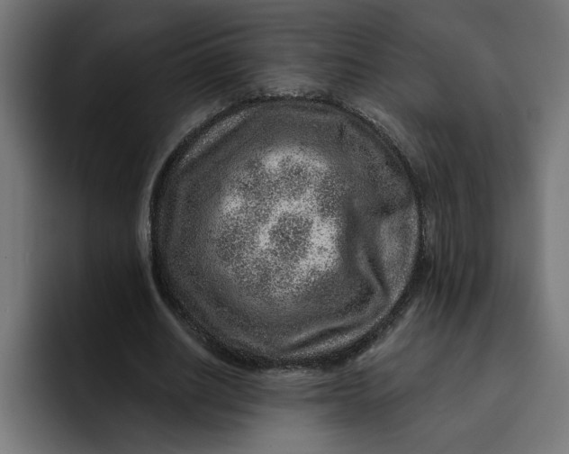 X0000092040630200710031025