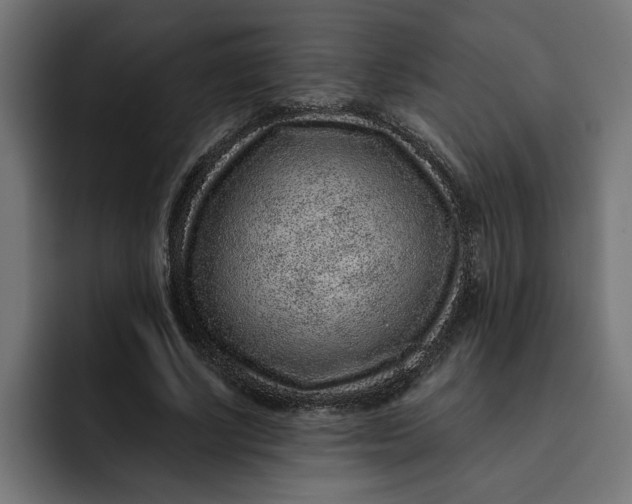 X0000092040634200710031025