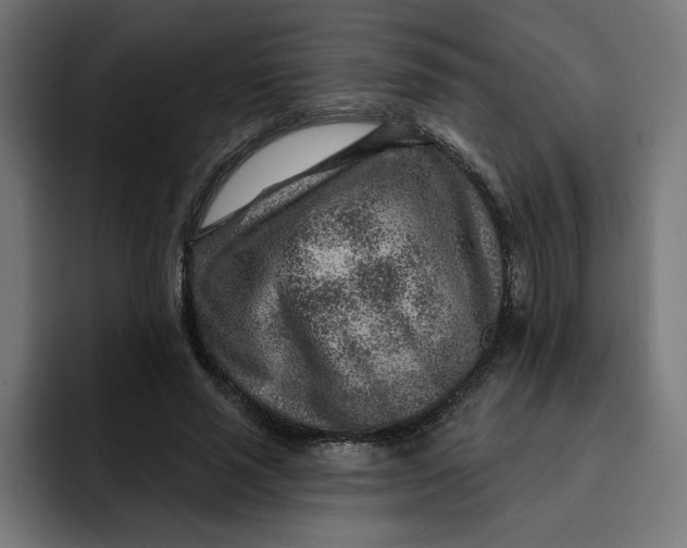 X0000092040637200710031025