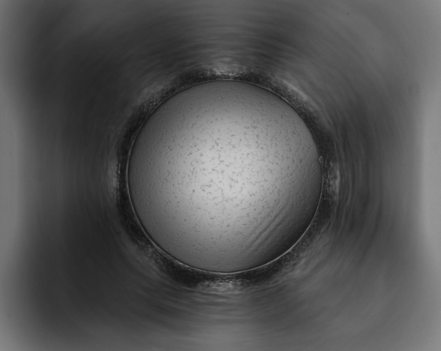 X0000092040639200710031025