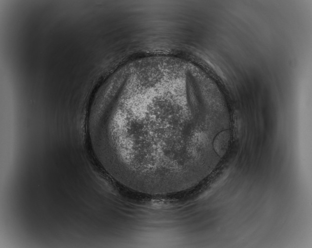 X0000092040641200710031025