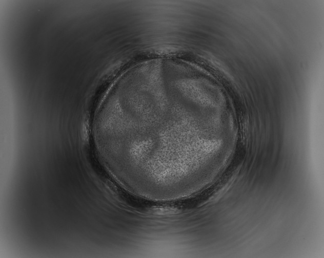 X0000092040644200710031025