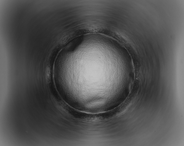 X0000092040646200710031025