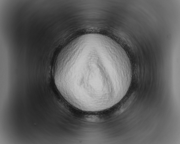 X0000092040649200710031025