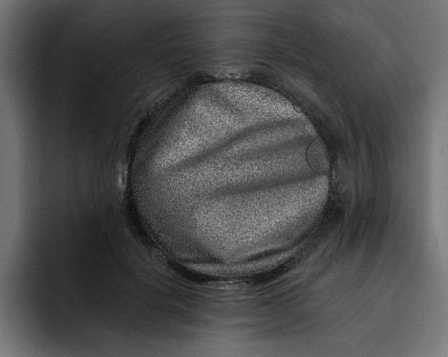 X0000092040652200710031025