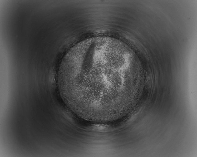 X0000092040654200710031025