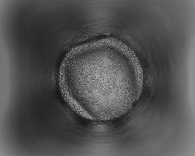 X0000092040658200710031025