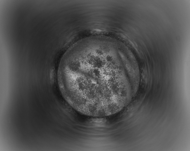 X0000092040659200710031025