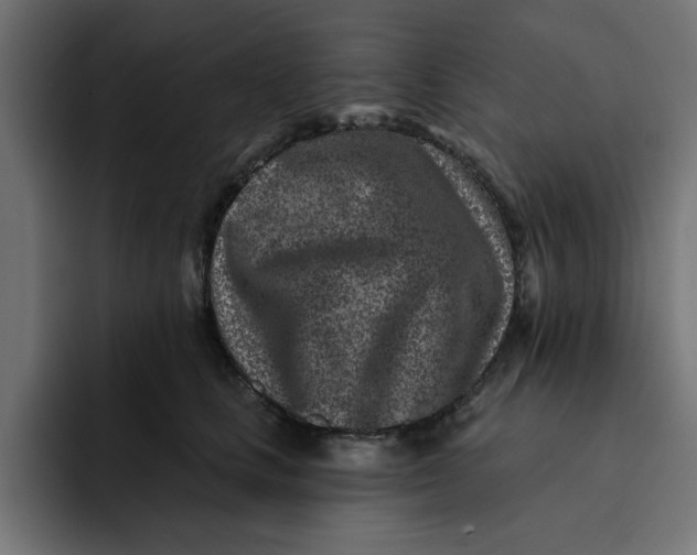 X0000092040661200710031025