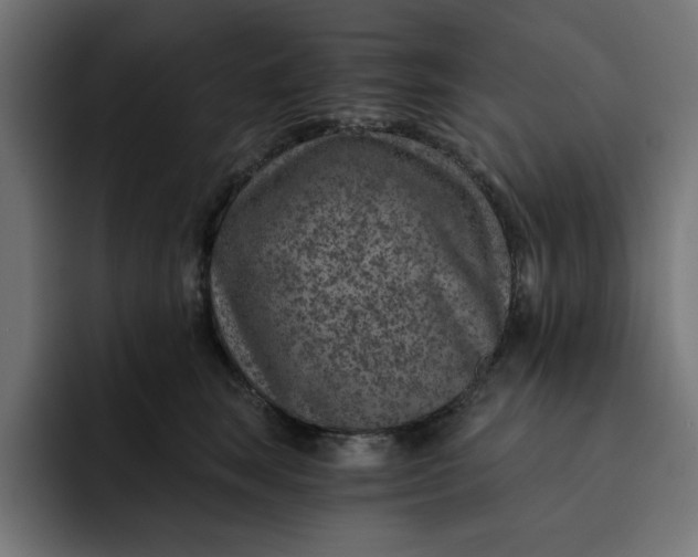 X0000092040663200710031025