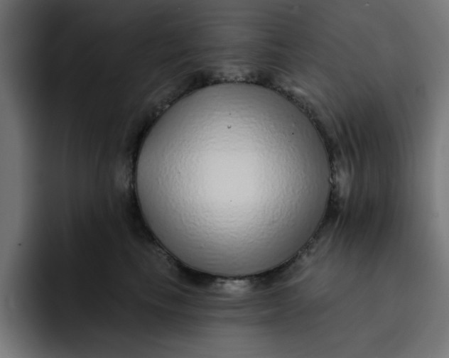 X0000092040665200710031025